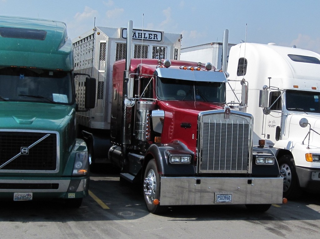 IMG 1049 - Trucks