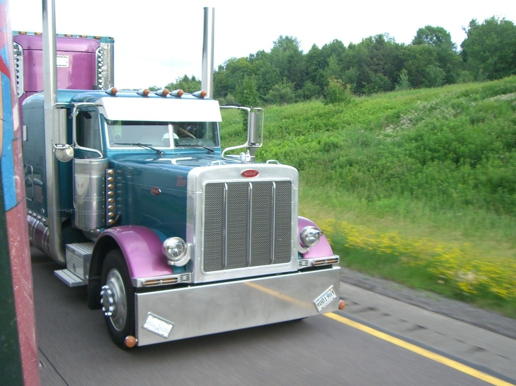 CIMG4836 - Trucks