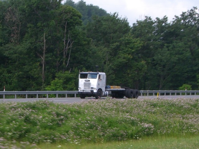 CIMG4860 Trucks