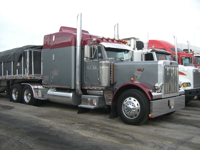 CIMG5003 Trucks