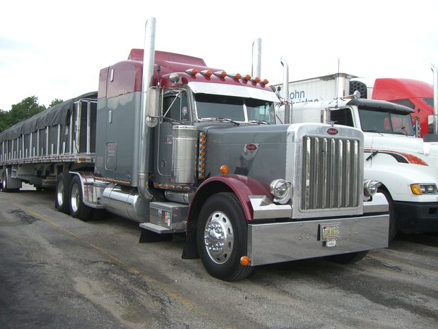 CIMG5002 Trucks
