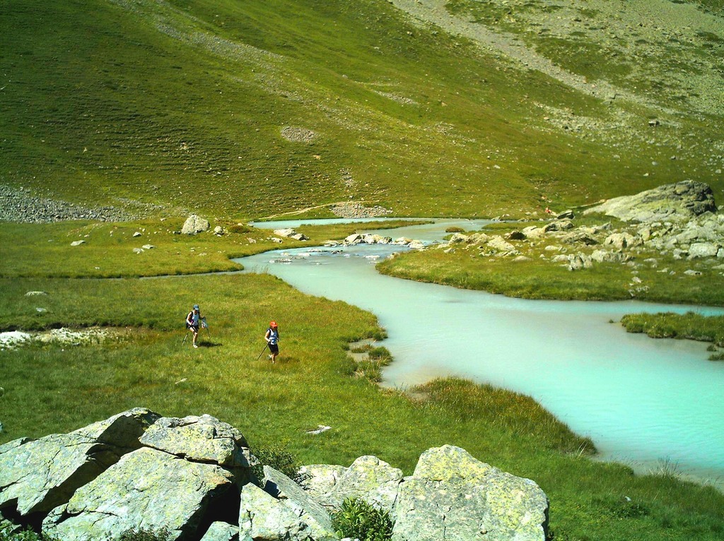 Torr. Arsine turch. - 