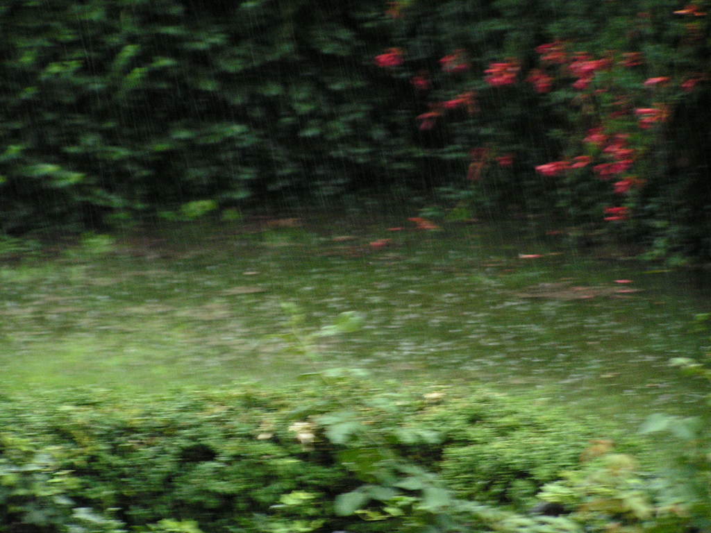 Nubifragio 7-7-2009 003 - 