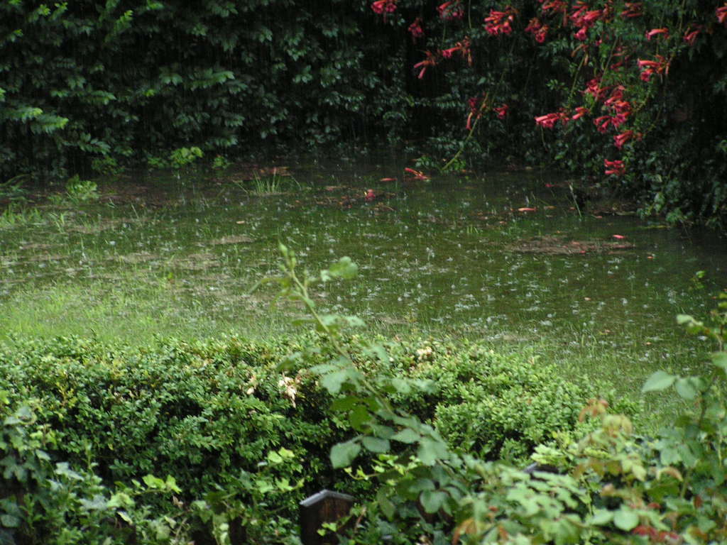 Nubifragio 7-7-2009 004 - 