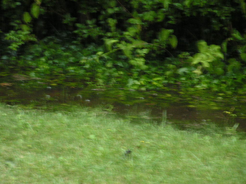 Nubifragio 7-7-2009 006 - 