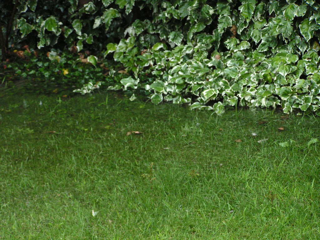 Nubifragio 7-7-2009 008 - 