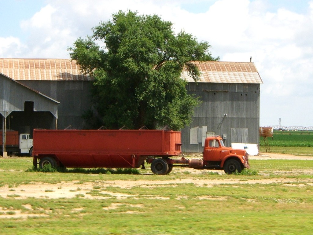 CIMG5263 - Trucks