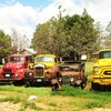 CIMG5246 - Trucks