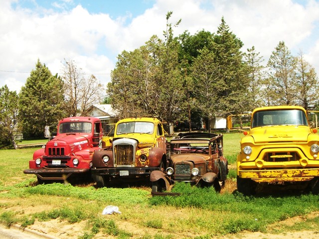 CIMG5246 Trucks