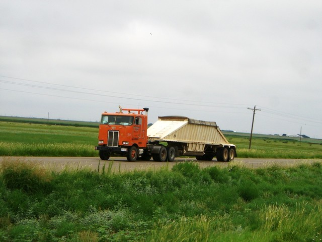 CIMG5228 Trucks