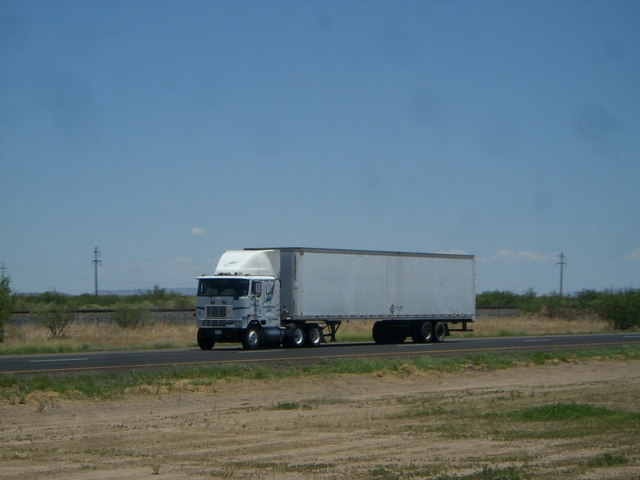 CIMG5497 Trucks