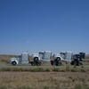 CIMG5476 - Trucks