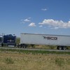 CIMG5506 - Trucks