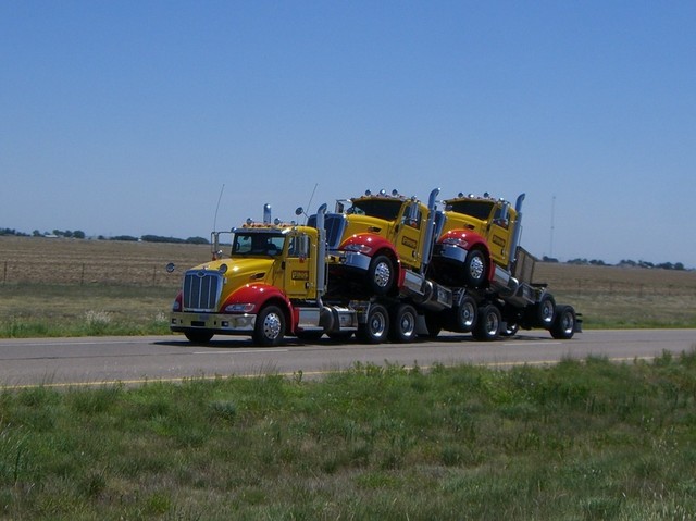 CIMG5610 Trucks