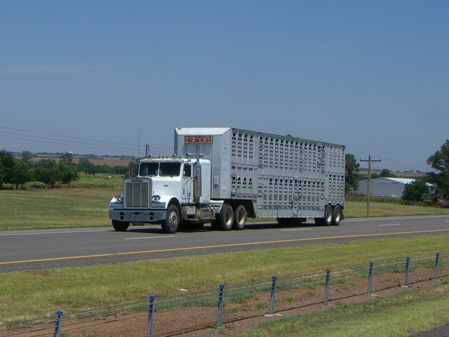 CIMG5626 Trucks
