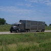 CIMG5617 - Trucks