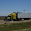 CIMG5613 - Trucks
