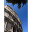 Roman Colosseum 04 - Italy photos