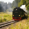 T01383 997239 Drei Annen Hohne - 20080919 Harz