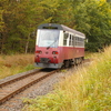 T01391 187016 Birkenmoor - 20080920 Harz