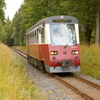 T01390 187016 Birkenmoor - 20080920 Harz