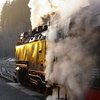 T01457 997237 Alexisbad - 20081230 Harz