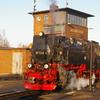 T01466 997245 Wernigerode - 20081231 Harz