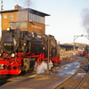 T01467 997245 Wernigerode - 20081231 Harz