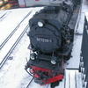 T01502 997238 Wernigerode - 20090102 Harz