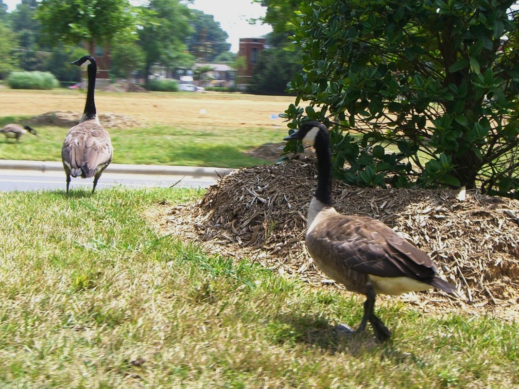 CIMG6082 JPG Picture Trips