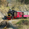 T01620 996101 Drahtzug - 20090412 Harz