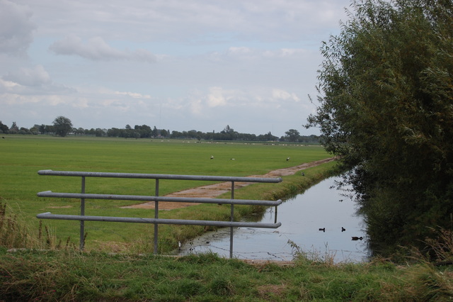 DSC 2225 Polder