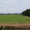 DSC 2229 - Polder