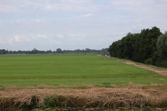 DSC 2229 Polder