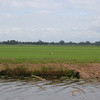 DSC 2231 - Polder