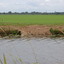 DSC 2232 - Polder