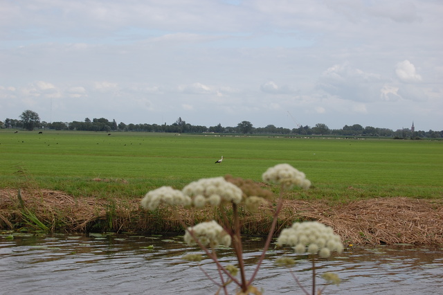 DSC 2233 Polder