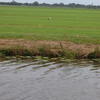 DSC 2234 - Polder