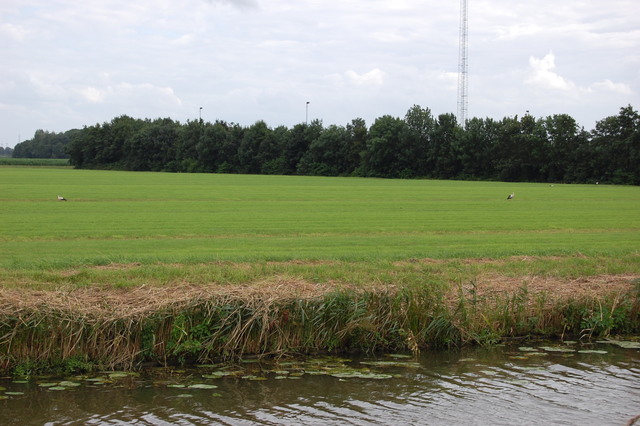 DSC 2238 Polder