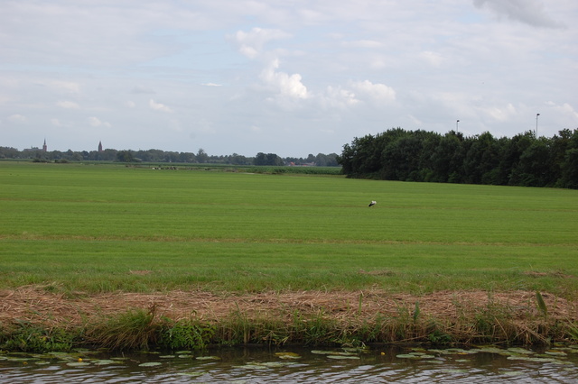 DSC 2239 Polder