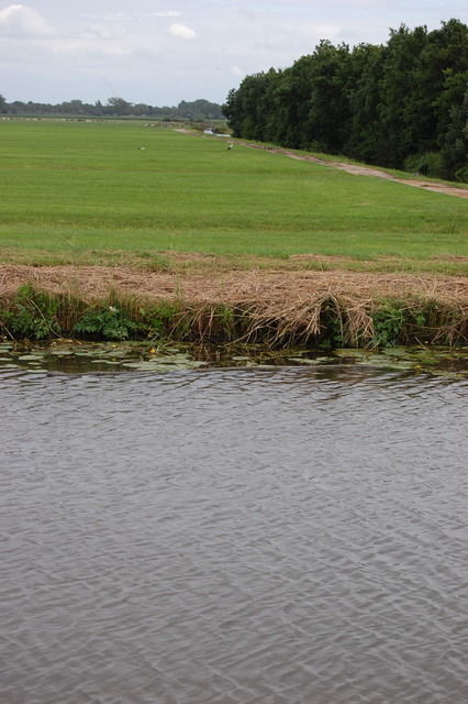 DSC 2241 Polder