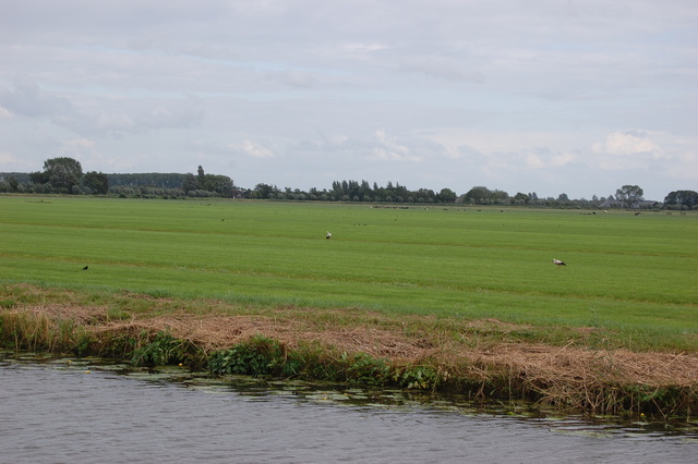 DSC 2242 Polder