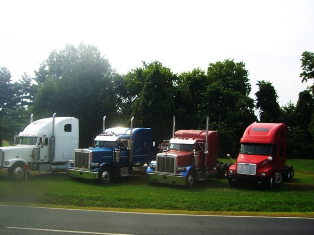 CIMG6144 Trucks