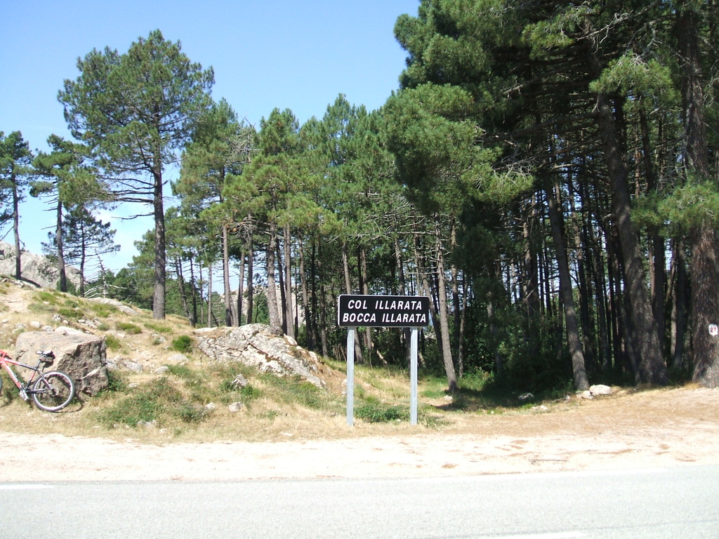 nevicata casa 20.03.2009 008 - 