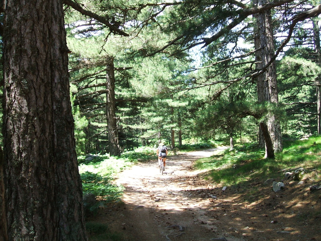 nevicata casa 20.03.2009 014 - 