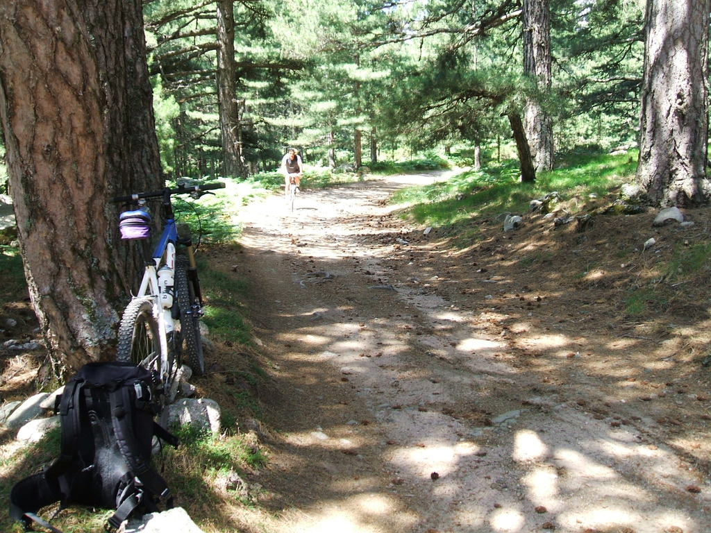 nevicata casa 20.03.2009 015 - 