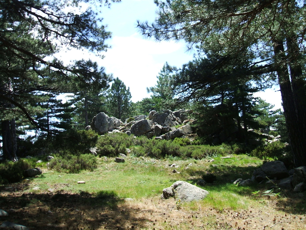 nevicata casa 20.03.2009 018 - 