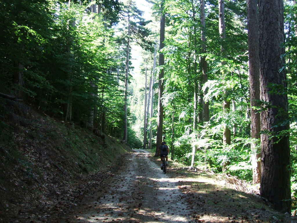 nevicata casa 20.03.2009 030 - 