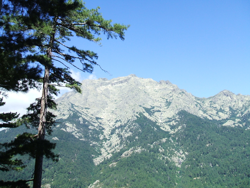 nevicata casa 20.03.2009 032 - 