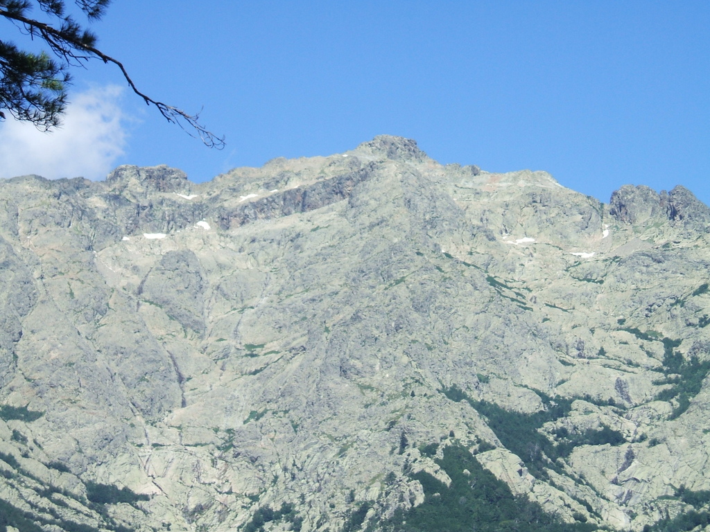 nevicata casa 20.03.2009 033 - 